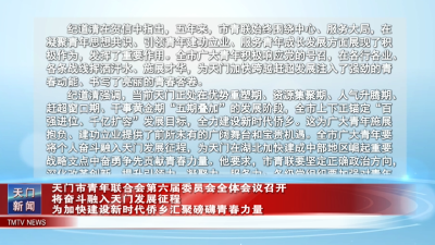 天门市青年联合会第六届委员会全体会议召开  将奋斗融入天门发展征程  为加快建设新时代侨乡汇聚磅礴青春力量