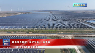 【记者走基层】  通力渔光科技：渔光互补 一地双收
