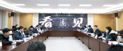 石家河实景剧演艺效果观审汇报会召开  全力以赴打造精品剧目  让石家河文化真正“热起来”“活起来”