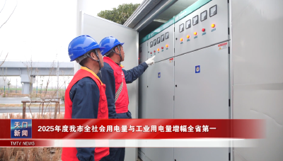 2025年度我市全社会用电量与工业用电量增幅全省第一