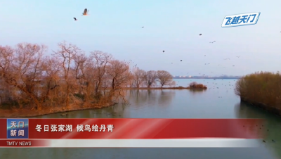 【飞越天门】冬日张家湖 候鸟绘丹青