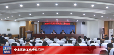 全市民政工作会议召开