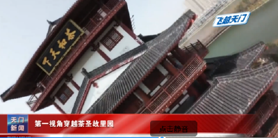 【飞越天门】  第一视角穿越茶圣故里园