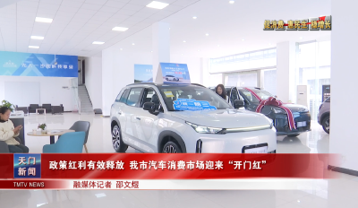 【促消费 惠民生 稳增长】 政策红利有效释放 我市汽车消费市场迎来“开门红”