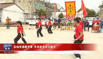 弘扬非遗唐手拳 传承武术文化薪火