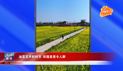 【抖音天门】 油菜花开好时节 田园美景令人醉