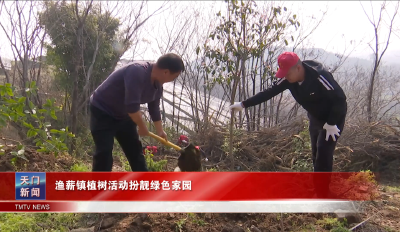 渔薪镇植树活动扮靓绿色家园