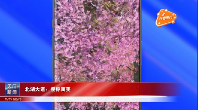 【抖音天门】北湖大道：樱你而美