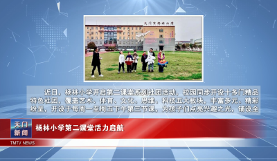 【图说天门】 杨林小学第二课堂活力启航