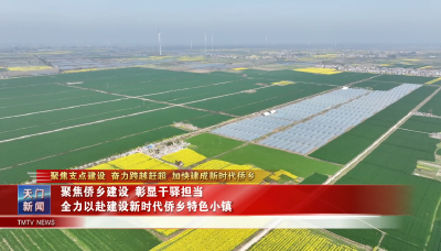 【聚焦支点建设 奋力跨越赶超 加快建成新时代侨乡】 聚焦侨乡建设 彰显干驿担当 全力以赴建设新时代侨乡特色小镇