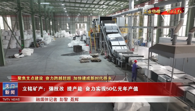 【聚焦支点建设 奋力跨越赶超 加快建成新时代侨乡·工业倍增“开门红”】立铭矿产：强技改 提产能 奋力实现50亿元年产值