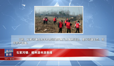 【图说天门】 石家河镇：植树造林添新绿