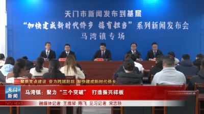 【聚焦支点建设 奋力跨越赶超 加快建成新时代侨乡】  马湾镇：聚力“三个突破” 打造振兴样板