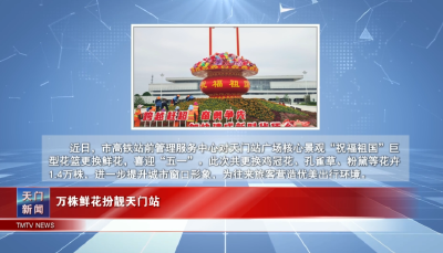 【图说天门】 万株鲜花扮靓天门站