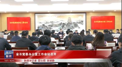 全市党委办公室工作会议召开