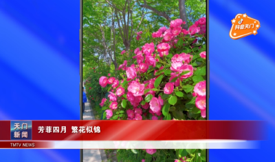 【抖音天门】 芳菲四月 繁花似锦