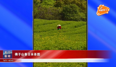 【抖音天门】佛子山春日采茶图