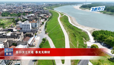 【飞越天门】 岳口汉江大堤 春光无限好