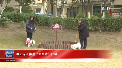 我市深入推进“犬风铃”行动