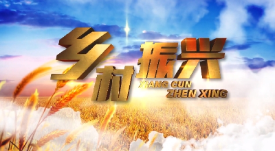 《乡村振兴》2026第7期