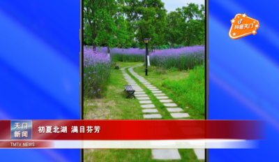 【抖音天门】 初夏北湖 满目芬芳