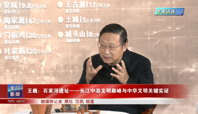 王巍：石家河遗址——长江中游文明巅峰与中华文明关键实证