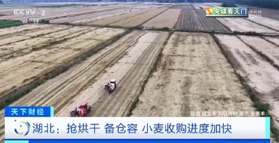 【央媒看天门】湖北：抢烘干 备仓容 小麦收购进度加快