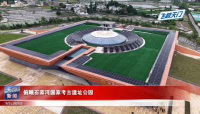 【飞越天门】俯瞰石家河国家考古遗址公园
