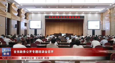 全市政务公开专题培训会召开
