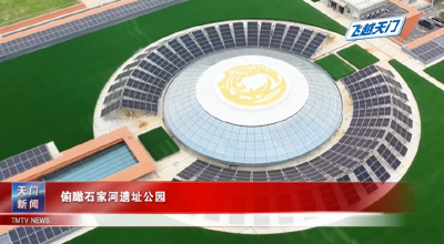 【飞越天门】俯瞰石家河遗址公园