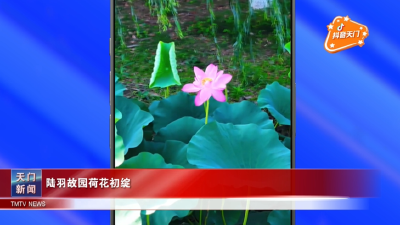 【抖音天门】陆羽故园荷花初绽