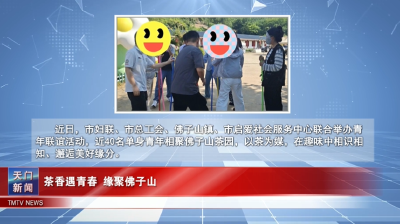 【图说天门】茶香遇青春 缘聚佛子山