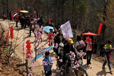 新华镇成功举办美丽乡村文化旅游节