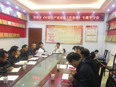 宋洛乡专题学习新修订的《中国共产党巡视工作条例》