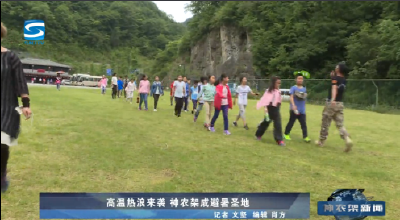 高温热浪来袭 神农架成避暑圣地