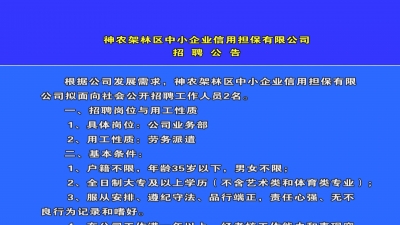 神农架林区中小企业信用担保公司招聘公告.mpg