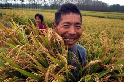 抓好农业生产 推进设施农业项目用地专项清理整治