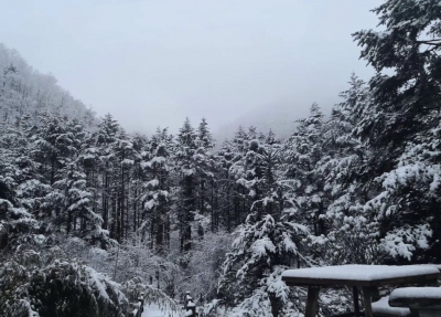 神农架国家公园迎来第一场大范围降雪