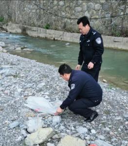 神农架林区生态文明建设显成效   野生动物“果子狸”进校园觅食