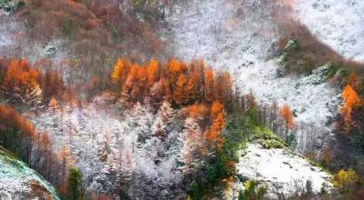 神农架：秋景雪景一起赏