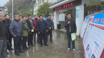 全区农村集体产权制度改革现场办公会在宋洛乡召开