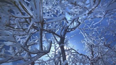 未来一周我区将持续低温雨雪冰冻天气