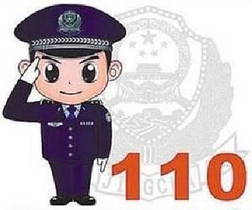 我区110宣传日接警情况