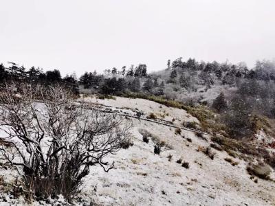 V视 | 神农架迎来今年首场秋雪