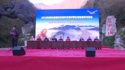 2019年湖北省暨神农架林区保护野生动物宣传月活动 正式启动