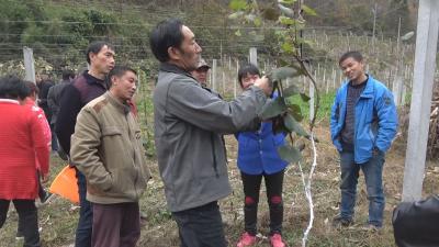 神农架：科教兴农助力乡村振兴 技术培训为村民解难题