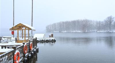 大九湖景区降下“桃花雪”