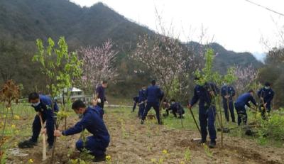 造林添绿正当时 林区党政机关干部职工义务植树800株