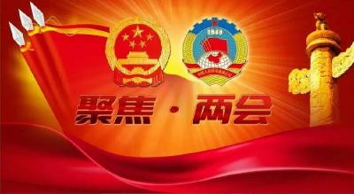 全国人大代表刘启俊： 为湖北新发展贡献力量
