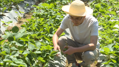 青春有梦 “志”存高“远” ——下谷青年陈志远回乡创业 探索致富道路